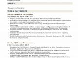 Sample Resume for Experienced Qlikview Developer Senior Qlikview Developer Resume Samples