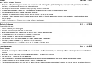 Sample Resume for Experienced Sales and Marketing Professional Sales and Marketing Resume Samples & Templates