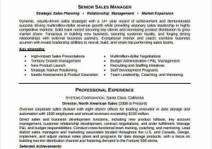 Sample Resume for Experienced Sales Professional Professional Sales Resume 10 Sales Resume Samples