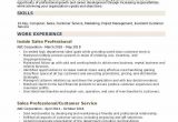 Sample Resume for Experienced Sales Professional Sales Professional Resume Samples