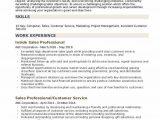 Sample Resume for Experienced Sales Professional Sales Professional Resume Samples