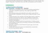 Sample Resume for Experienced Salesforce Developer Salesforce Developer Resume Samples
