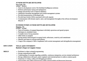 Sample Resume for Experienced software Developer Junior software Developer Resume