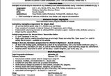 Sample Resume for Experienced software Engineer Free Download Resume Templates for software Engineer Free Samples