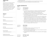 Sample Resume for Experienced software Test Engineer Download Testing Engineer Resume Samples and Templates