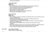 Sample Resume for Experienced Sql Server Developer Sql Developer Resume