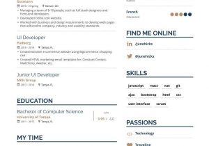 Sample Resume for Experienced Ui Developer Ui Developer Resume Samples and Writing Guide for 2020