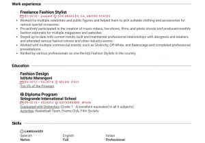 Sample Resume for Fashion Stylist Internship Fashion Stylist Resume Example