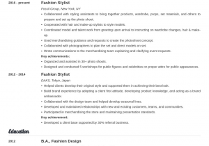 Sample Resume for Fashion Stylist Internship Fashion Stylist Resume Examples & Writing Guide [20 Tips]