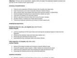 Sample Resume for Fashion Stylist Internship Fashion Stylist Resume