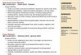 Sample Resume for Fast Food Service Crew without Experience Crew Member Resume Samples