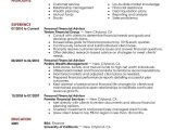 Sample Resume for Financial Advisor Position Best Personal Financial Advisor Resume Example From