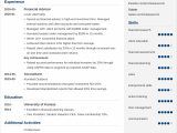 Sample Resume for Financial Advisor Position Financial Advisor Resume—examples and 25 Writing Tips