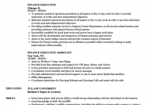 Sample Resume for Financial Management Position 9 10 Finance Major Resume Examples Loginnelkriver