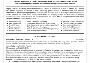 Sample Resume for Financial Management Position Senior Financial Management Resume