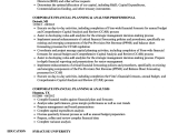 Sample Resume for Financial Planning and Analysis Corporate Financial Planning & Analysis Resume Samples