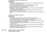 Sample Resume for Financial Planning and Analysis Financial Planning Analysis Resume Samples