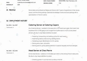 Sample Resume for Fine Dining Server 20 Fine Dining Server Resume