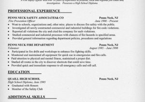 Sample Resume for Fire and Safety Officer Fresher Fire Safety Ficer Resume Sample Resume Panion