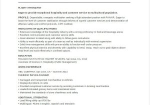 Sample Resume for Flight attendant with No Experience 6 Flight attendant Resume Templates Pdf Doc