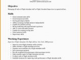 Sample Resume for Flight attendant with No Experience 7 Flight attendant Resume No Experience