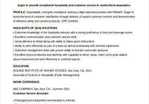 Sample Resume for Flight attendant with No Experience Free 6 Sample Flight attendant Resume Templates In Pdf