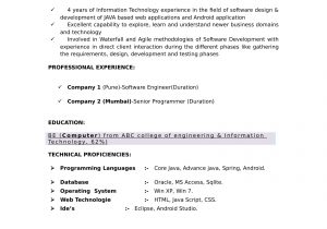 Sample Resume for Freshers It Engineers Resumes for Freshers – Ferel