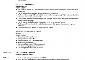Sample Resume for Full Stack Developer Java Full Stack Developer Resume Sample