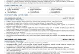 Sample Resume for Fund Of Fund Investor Investment Banker & M&a Analyst Resume Examples & Template (with …