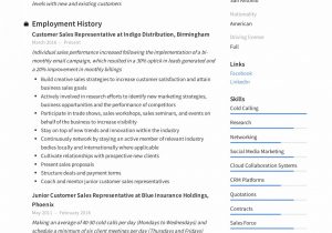 Sample Resume for Furniture Sales Position Guide: Customer Sales Representative Resume  12 Samples Pdf 2020