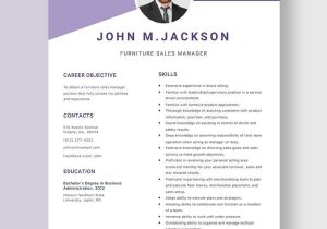 Sample Resume for Furniture Store Manager Free Free Furniture Sales Manager Resume Template – Word, Apple …