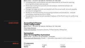 Sample Resume for General Ledger Accountant General Ledger Accountant Resume Example