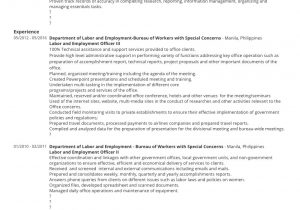 Sample Resume for Government Employee Philippines Resume Samples for Government Job Application In the Philippines