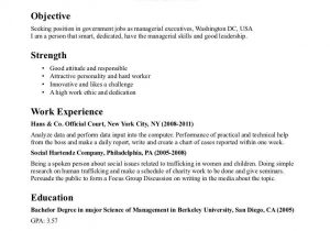 Sample Resume for Government Job In India Template for Professional Resume Job Resume Examples, Resume …