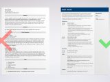 Sample Resume for Graphic Design Student Graphic Design Cv: Examples & Guide for Graphic Designers
