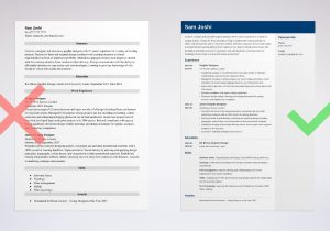 Sample Resume for Graphic Design Student Graphic Design Cv: Examples & Guide for Graphic Designers