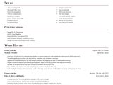 Sample Resume for Grocery Store Bagger Grocery Stocker Resume Online & Suggestions Rocket Resume
