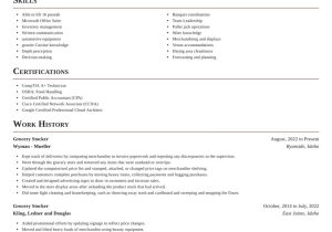Sample Resume for Grocery Store Bagger Grocery Stocker Resume Online & Suggestions Rocket Resume