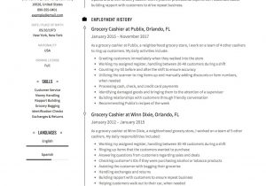 Sample Resume for Grocery Store Cashier 12 Grocery Cashier Resume Sample S 2018 Free Downloads