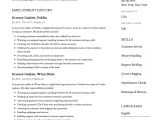 Sample Resume for Grocery Store Position Grocery Cashier Resume & Guide 14 Examples Pdf 2022