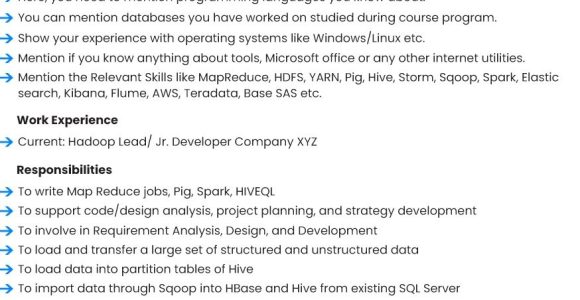 Sample Resume for Hadoop Developer On Sqoop Chief Elements Of A Professional Hadoop Resume In 2022