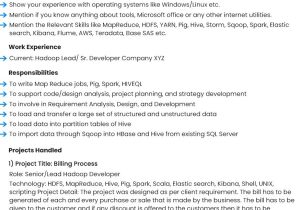 Sample Resume for Hadoop Developer with asp.net Chief Elements Of A Professional Hadoop Resume In 2022