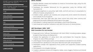 Sample Resume for Hadoop Developer with asp.net Sample Resume Of .net Developer with Template & Writing Guide …