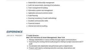 Sample Resume for Head Internal Audit Auditor Resume Example 2022 Writing Tips – Resumekraft