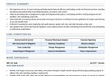 Sample Resume for Head Internal Audit Auditor Resume Examples & Template (with Job Winning Tips)