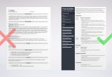 Sample Resume for Head Of Department Director Of Operations Resume: Examples and Guide [10lancarrezekiq Tips]