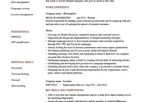 Sample Resume for Head Of Department Head Of It Cv Sample October 2021