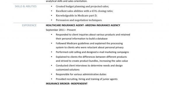 Sample Resume for Health Insurance Specialist Health Insurance Resume Sample – Ferel
