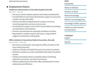 Sample Resume for Healthcare It Jobs Healthcare Resume Examples & Writing Tips 2022 (free Guide)