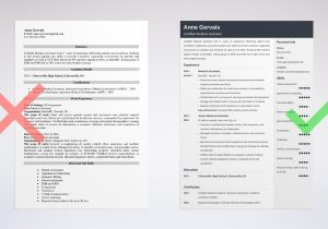 Sample Resume for Healthcare It Jobs Medical Resume Examples & Templates for Medical Field